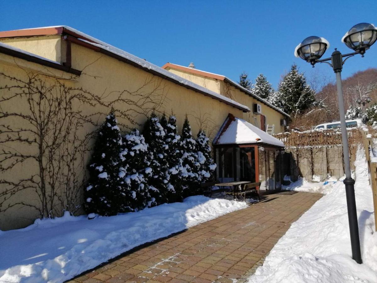 Zielone Wzgorze Hostel วาลบ์จิก ภายนอก รูปภาพ
