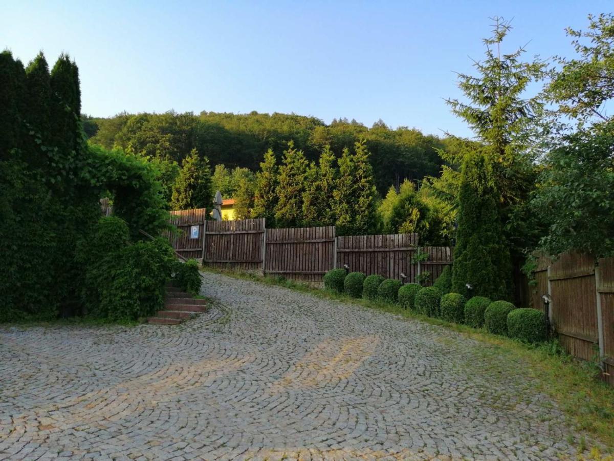 Zielone Wzgorze Hostel วาลบ์จิก ภายนอก รูปภาพ